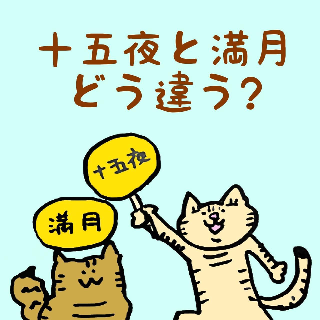 �y�C�ɂȂ�z�\�ܖ�Ɩ����A�ǂ��Ⴄ�H