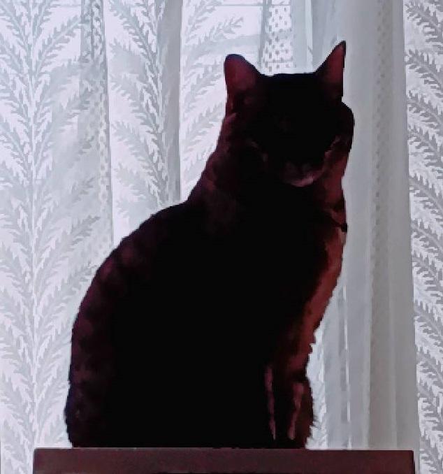 �����L�̍���ƉE��