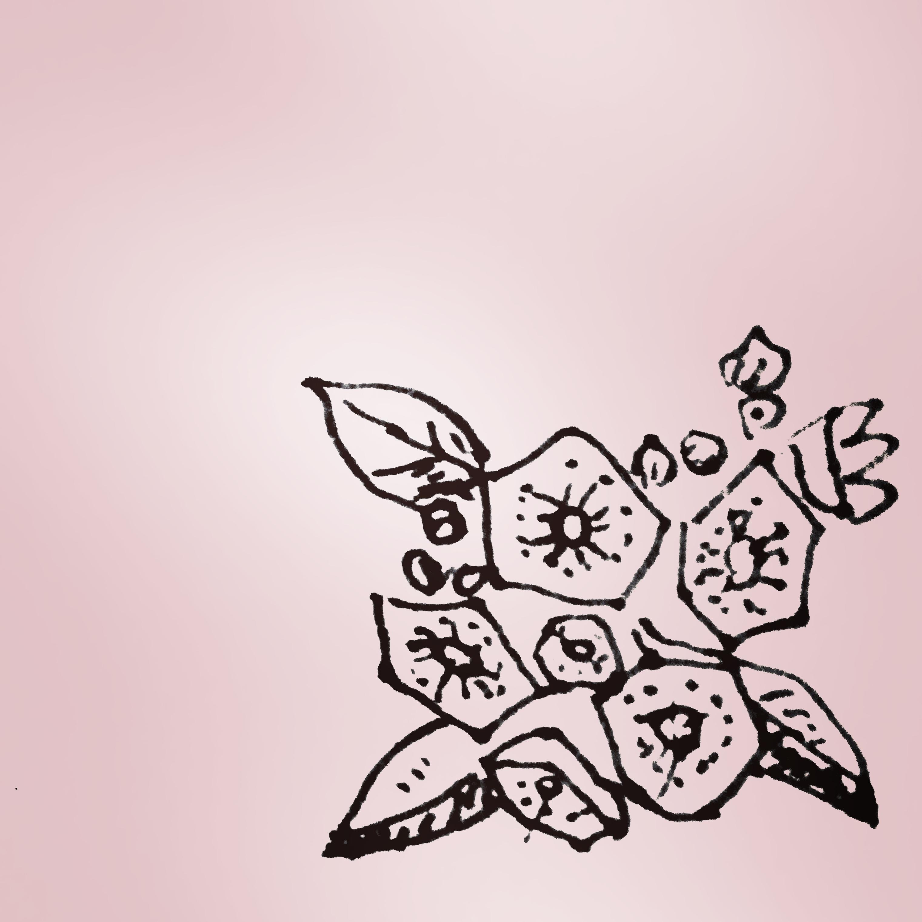 ��������S��