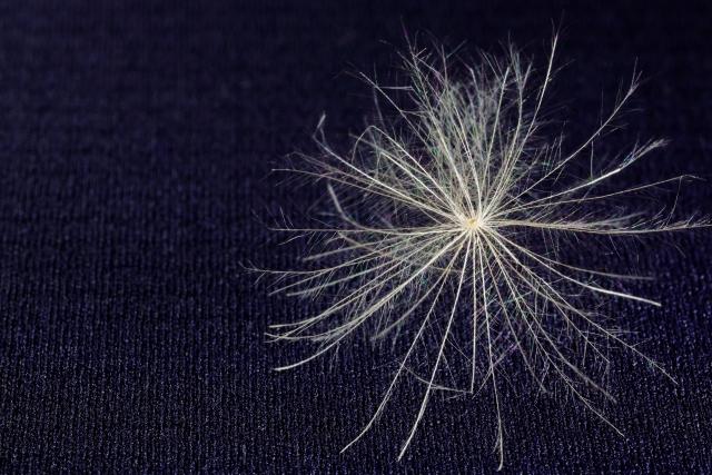 [�K�^]�P�T�����p�T�����������~�肽