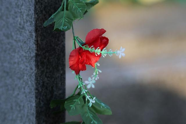 �Ȃ��A���A����c�l���C�ɂȂ�̂�