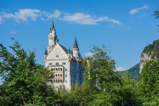 �w�����̓��LNo.12