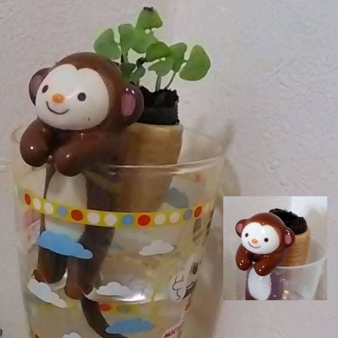 �����O�b�Y���̌�@����