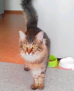 �L���邠�邠�邠��H�H