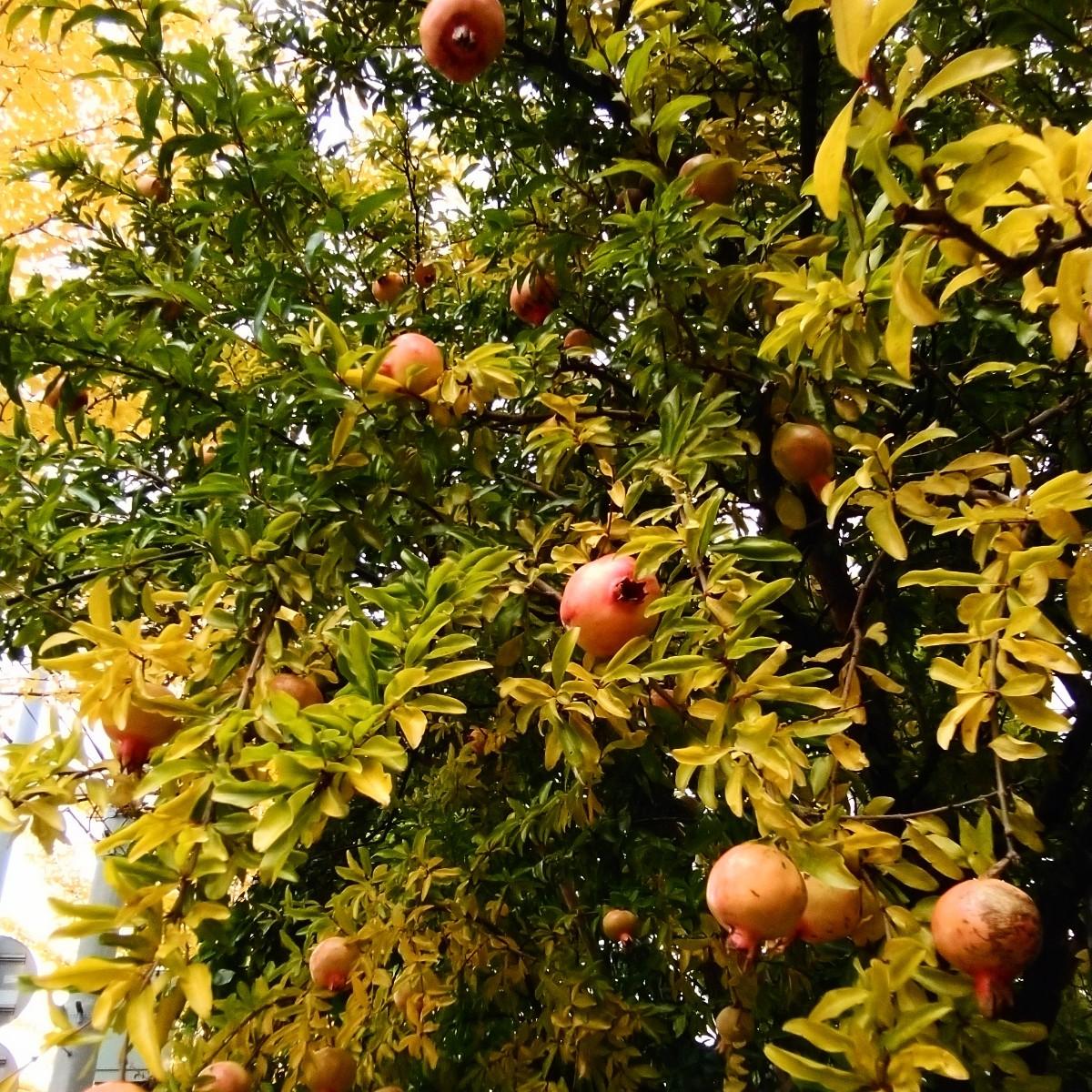 �����̖�Ɩ����̂��m�点�ł�