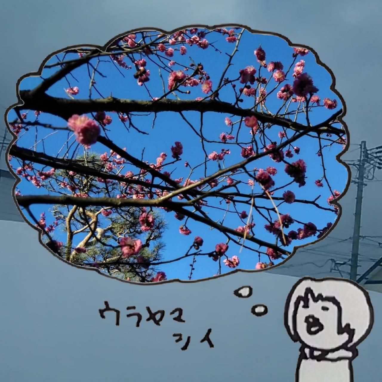 �֓�����u�~���炢���v�Ƃ����ւ�