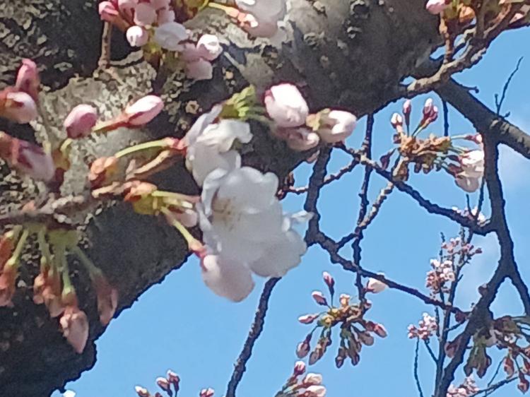 ���̏󋵂��ꂵ���Ă�