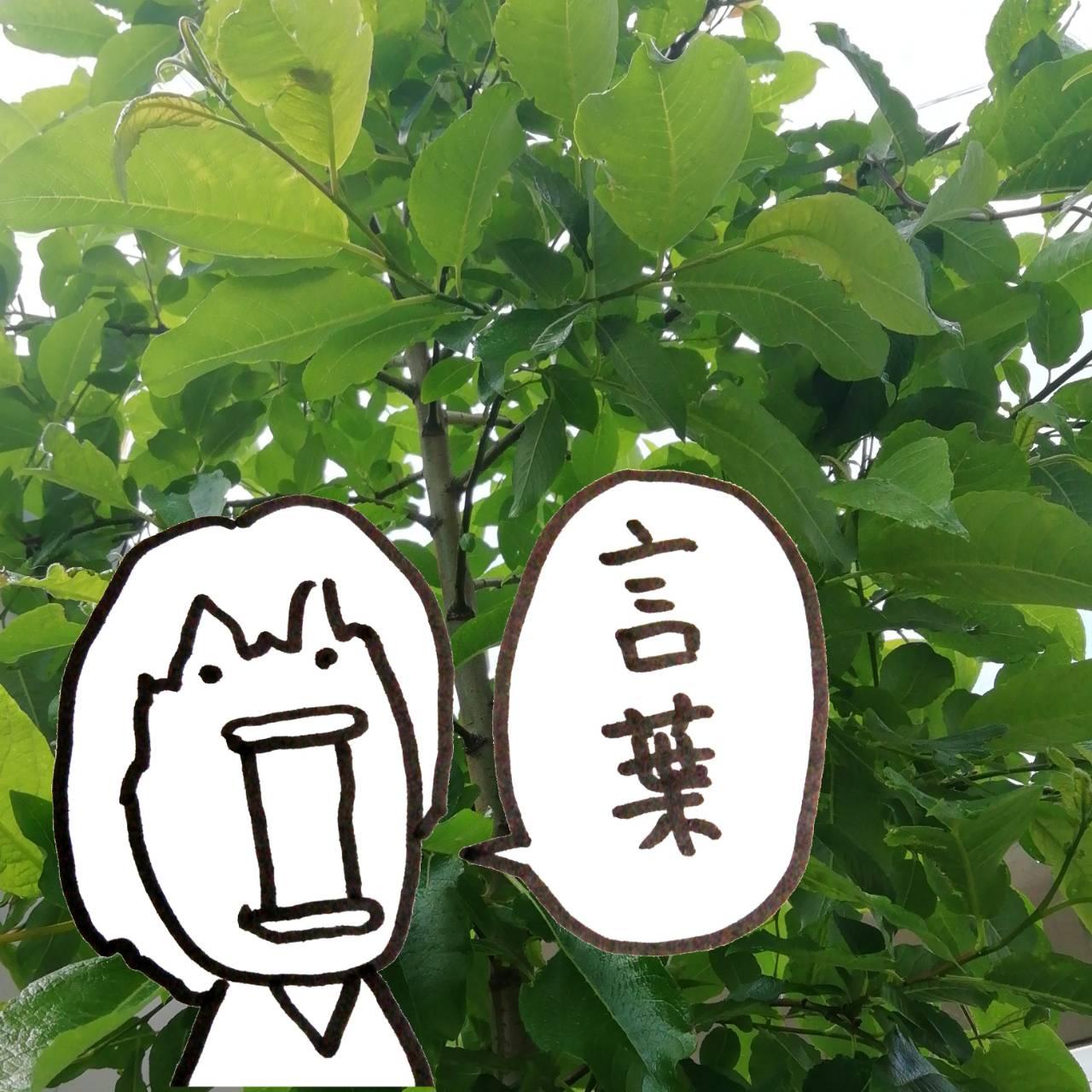 �u���t�v�́u�t�v�Ƃ́H�Ȃ�ł��傤