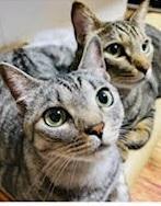 �M���͒��ڂ̓I�IR4.2.16����