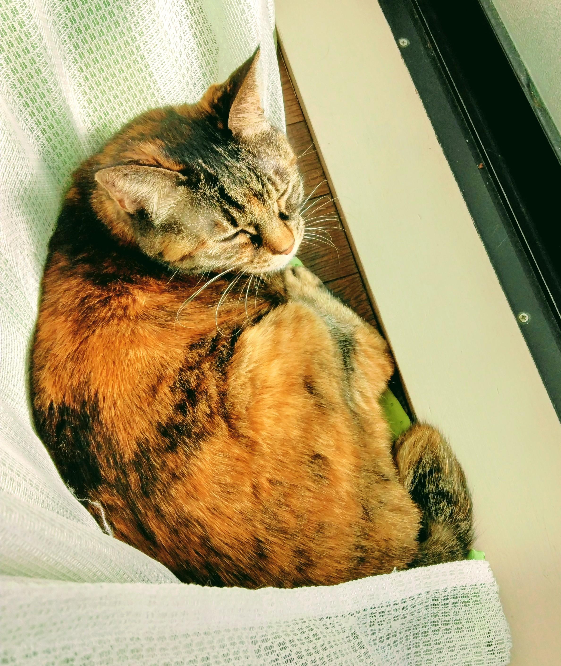 毒だし膿だしで辛いあなたへ