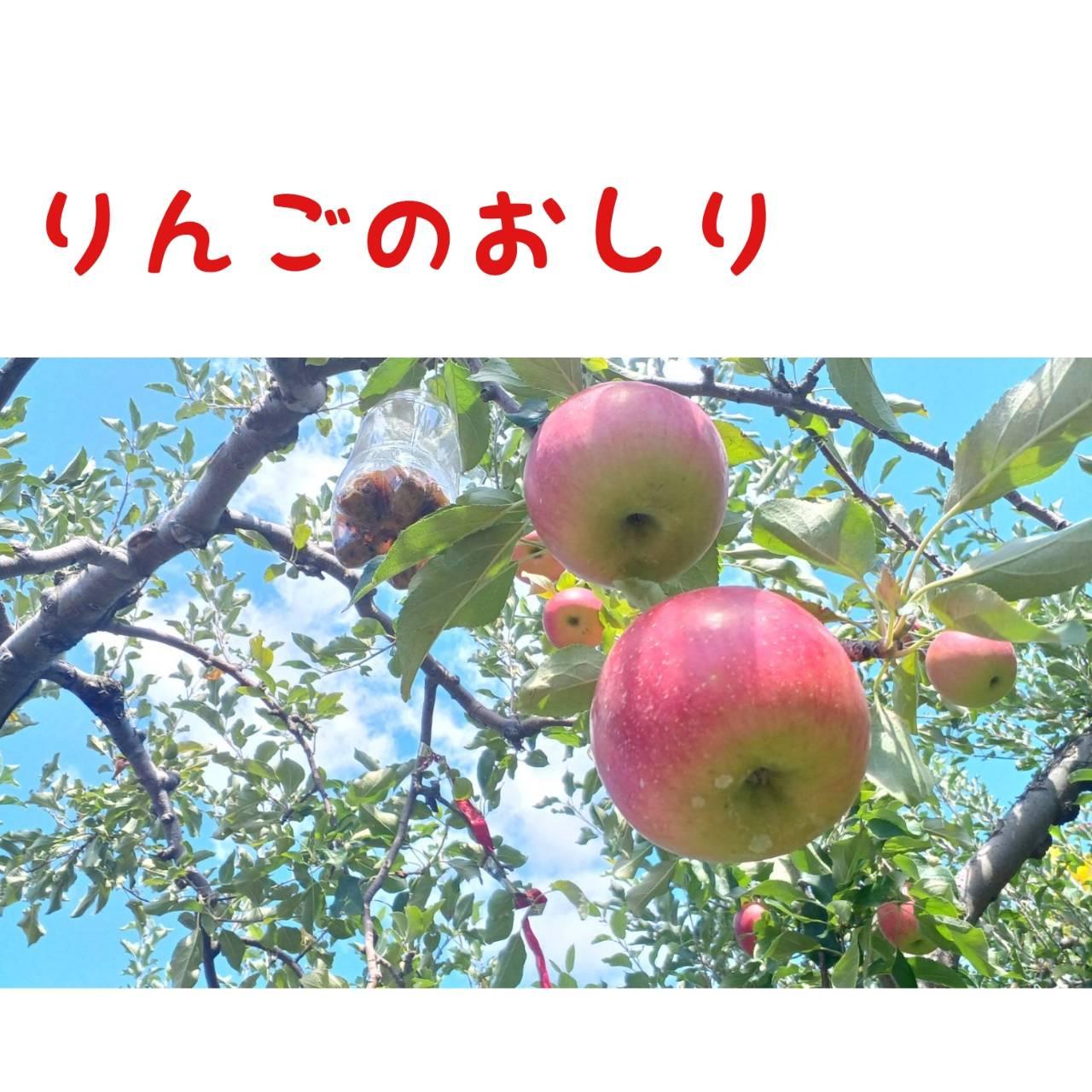 �H�̍K���B��񂲉����L �io�L�ցMo�j