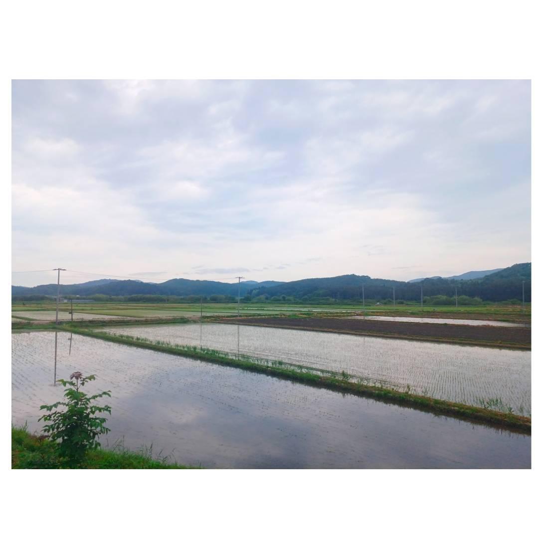 y摜zcɉf󂪂ꂢ