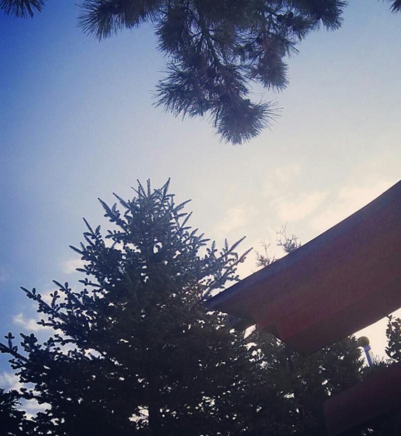 �����̖�̓����O�^�C���ł���B