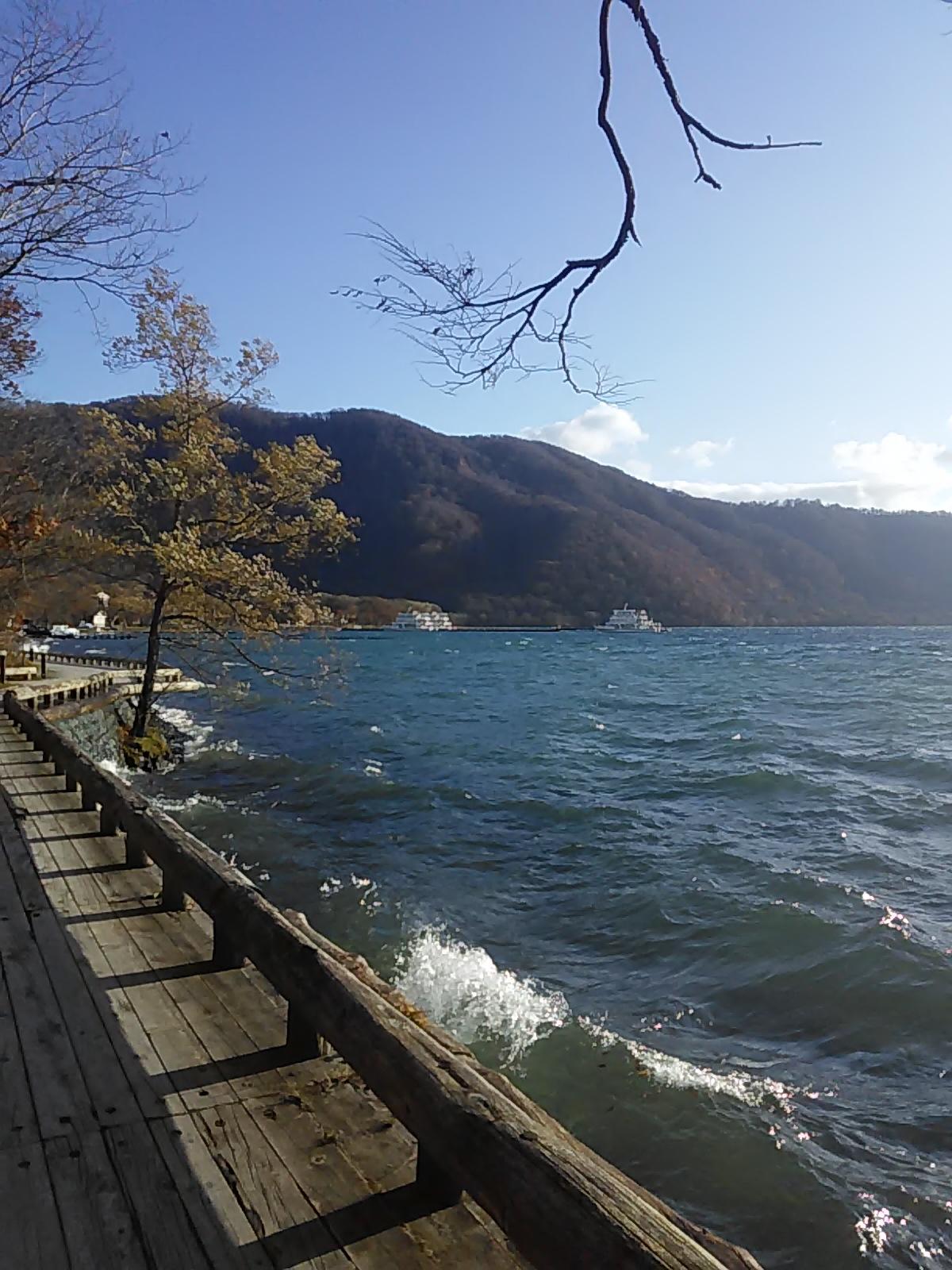 ���̔������˂��@�\�a�c��202011�@�U