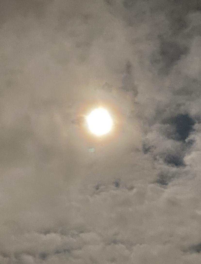 �X�[�p�[�t�����[�u���b�h���[��