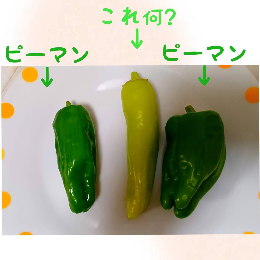 �s�[�}���Ɖ����킩��Ȃ����
