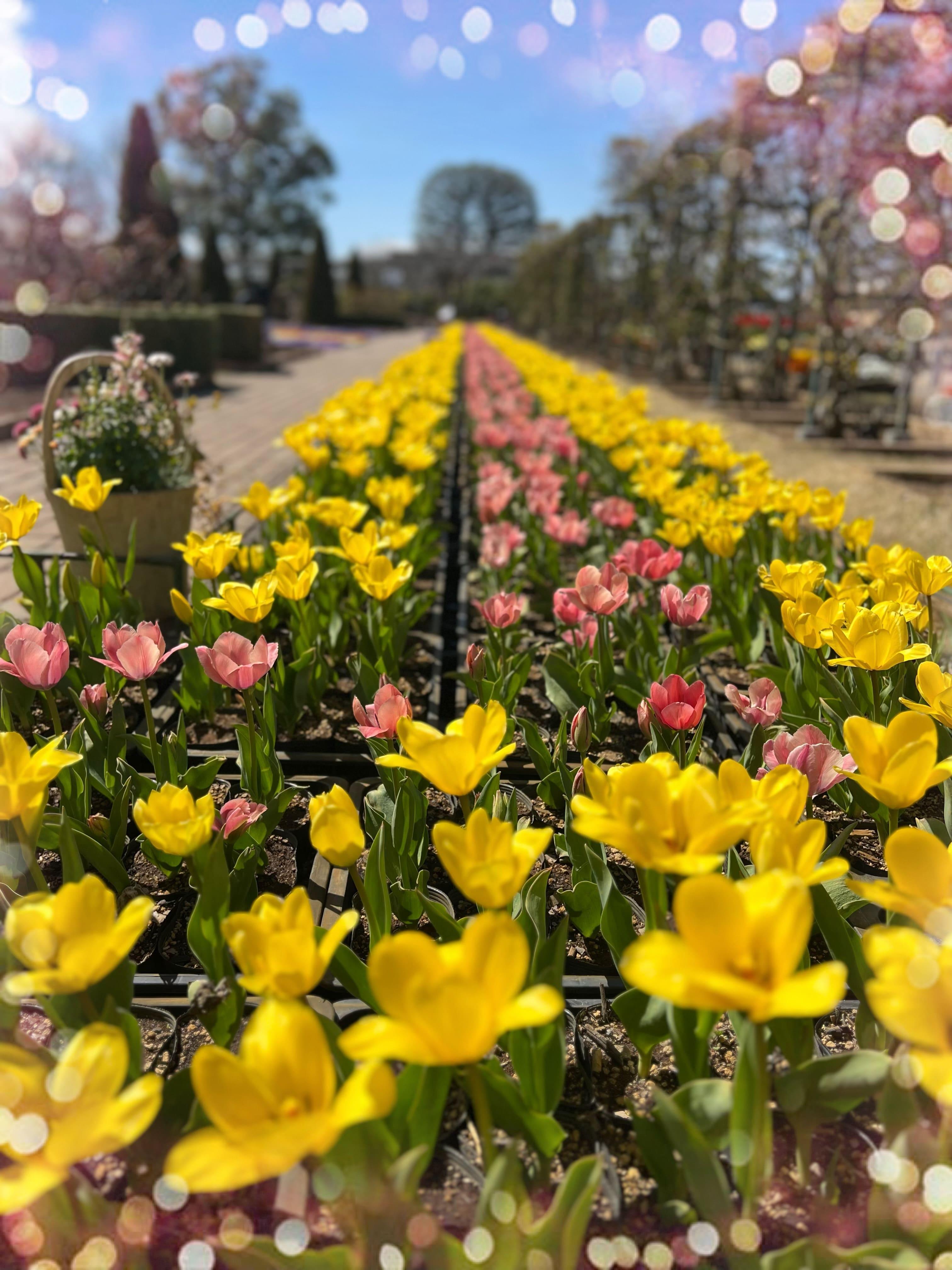 �C�ɂȂ邠�̐l�̋C����