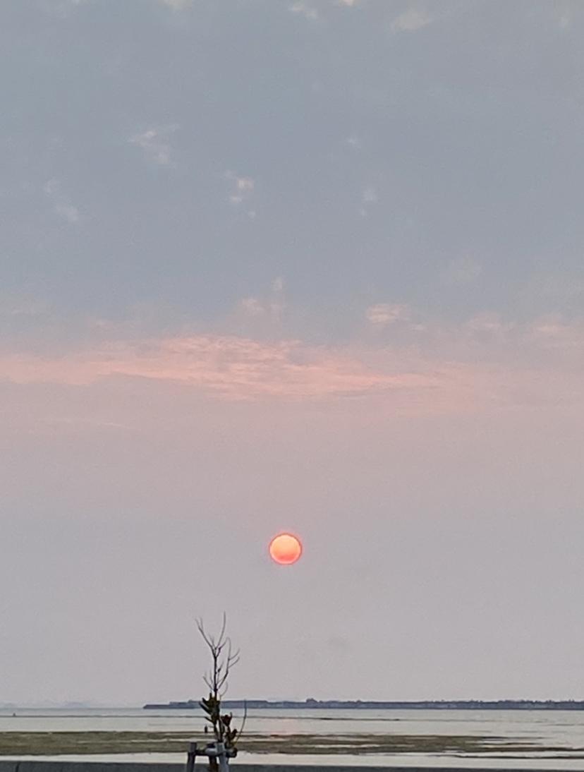 ���z���B�B