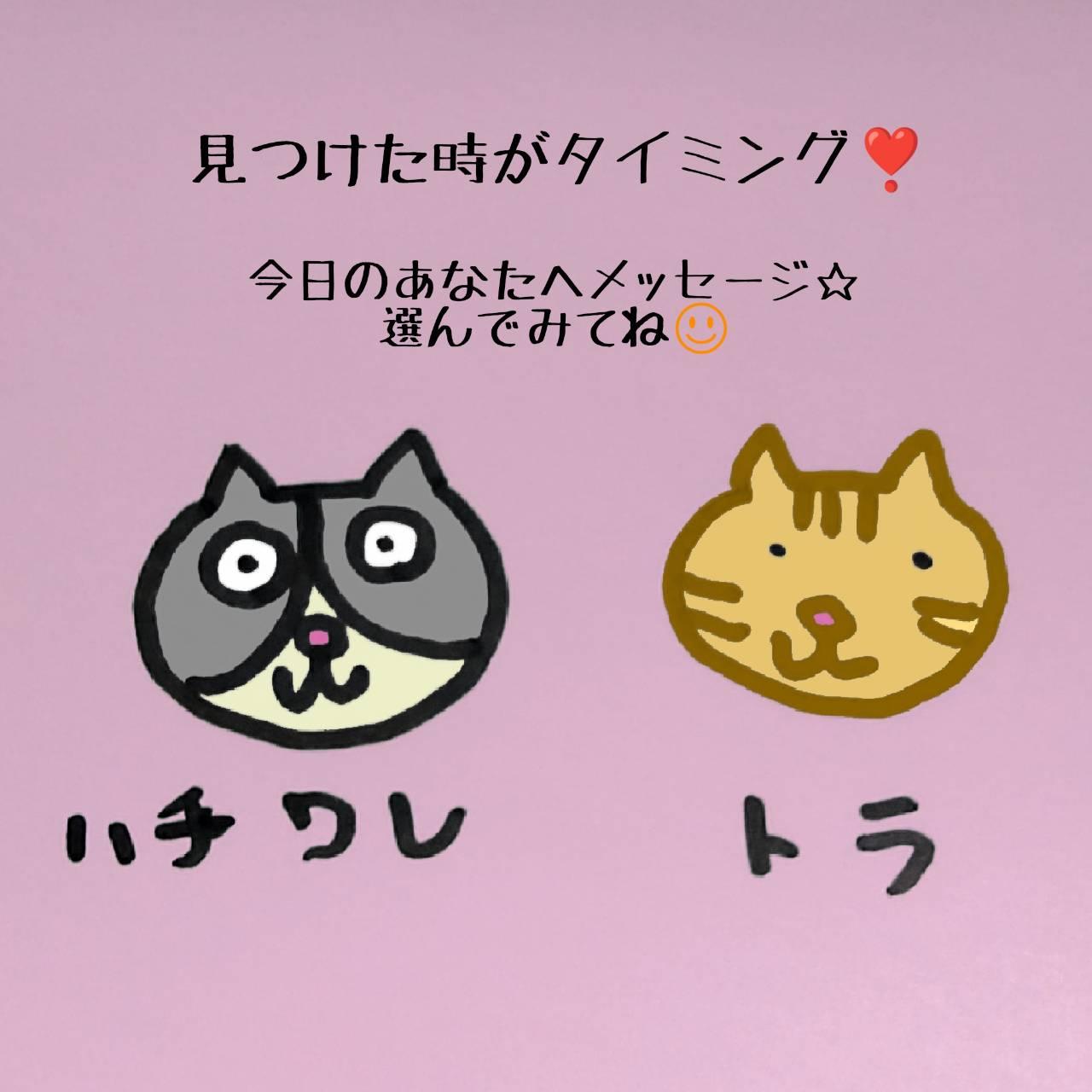 �����������^�C�~���O�I�Q��肢�I�I