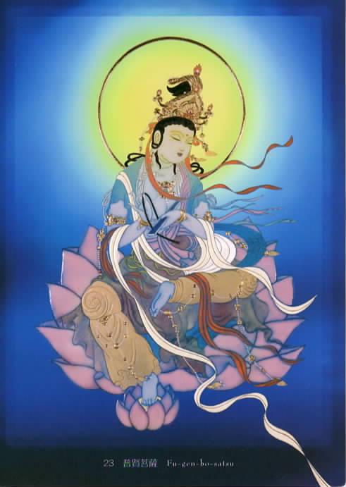 �_�l����̃��b�Z�[�W