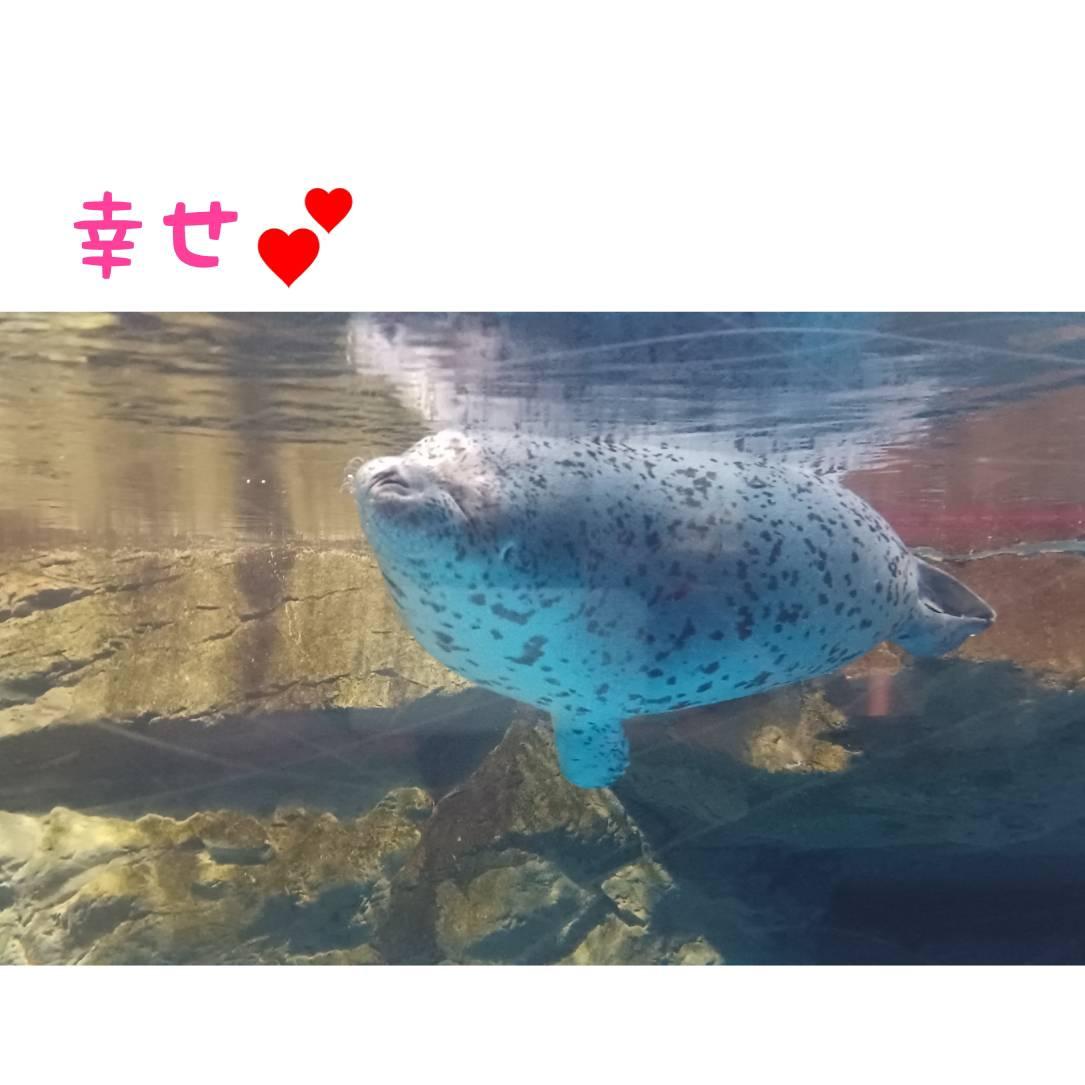 ���킢���͐��`�I