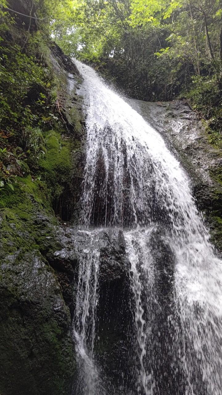 ���C�̐����p�[�g�Q