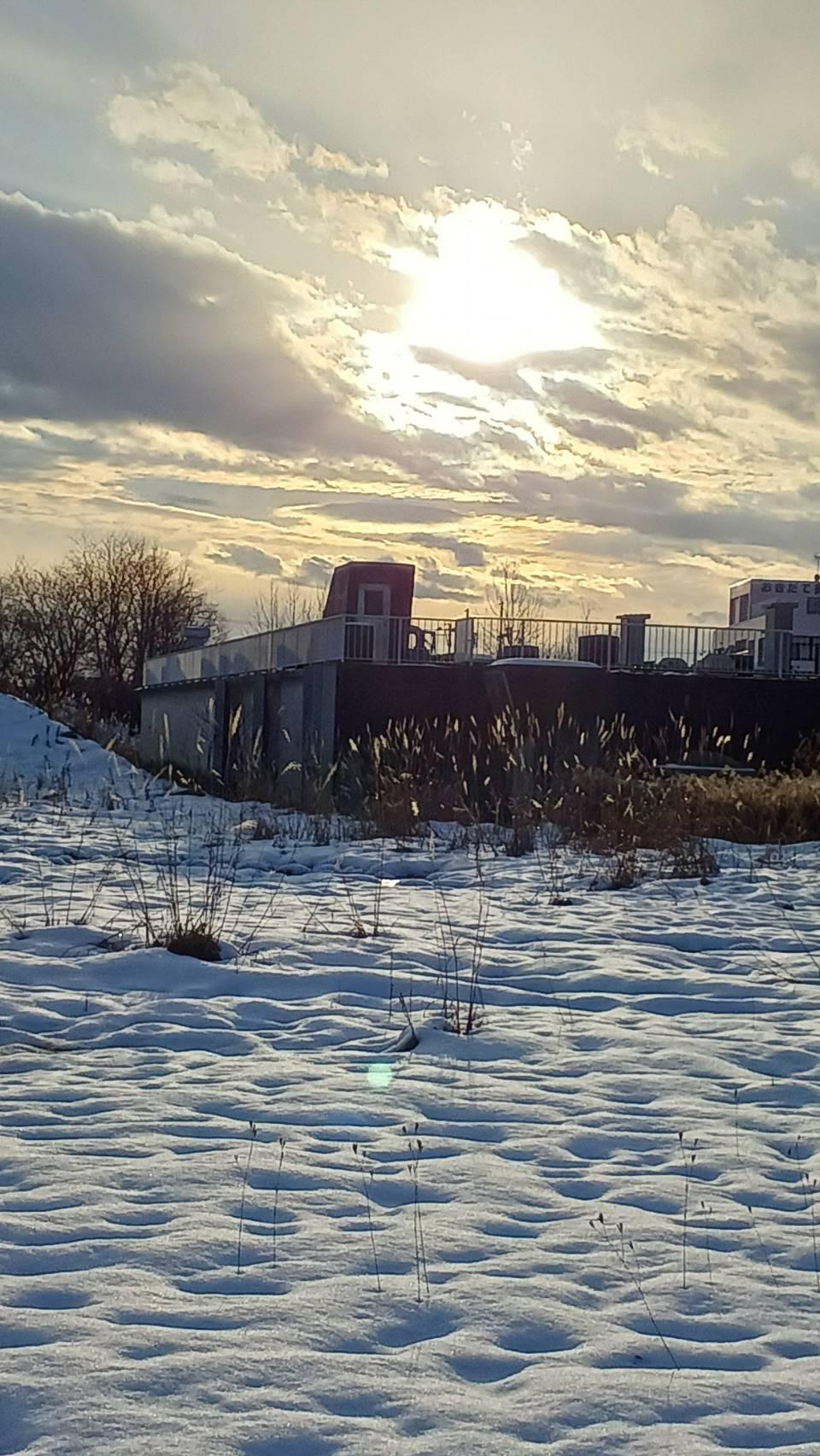 ��Ⴊ�߂��ē~���Ɍ�����