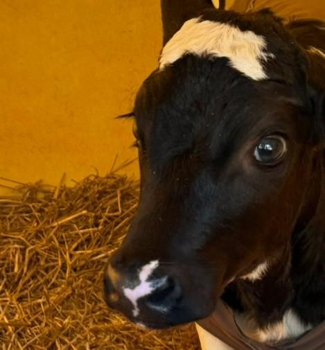 �ЂƂ̑z���ɂ�����̂�