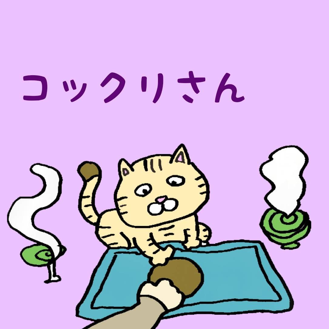 �y�~��p�z�R�b�N��������Ēm���Ă܂����H