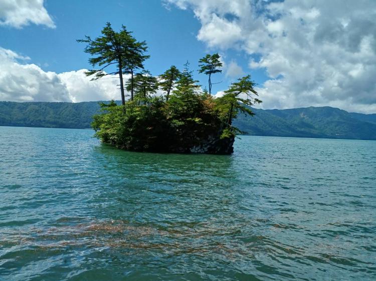 �b����l�Ƒ单�l�����铇�H