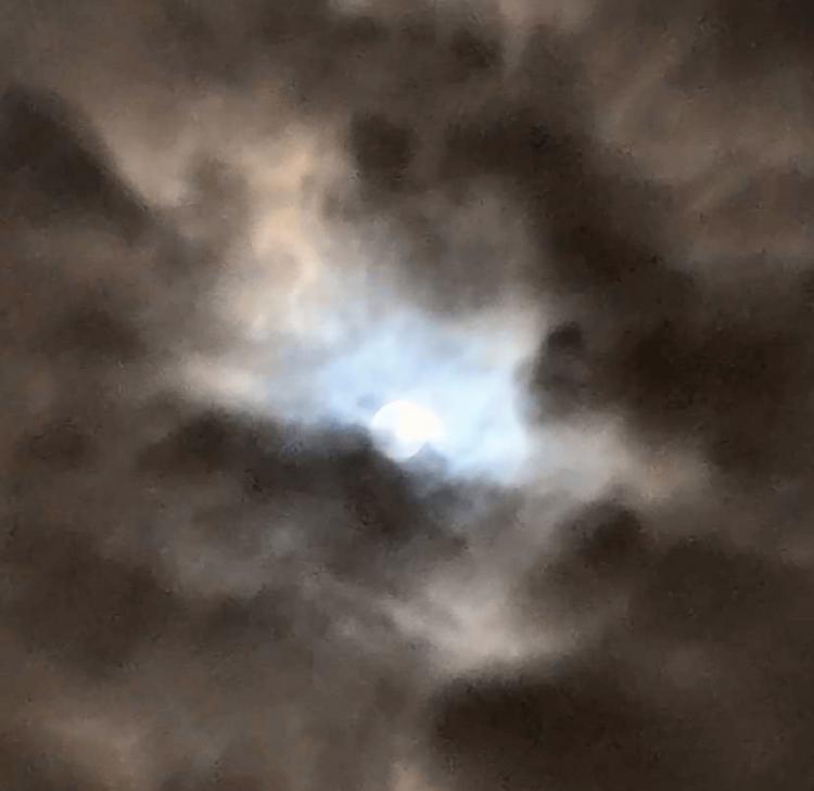 �Èł̒��ɗD��������