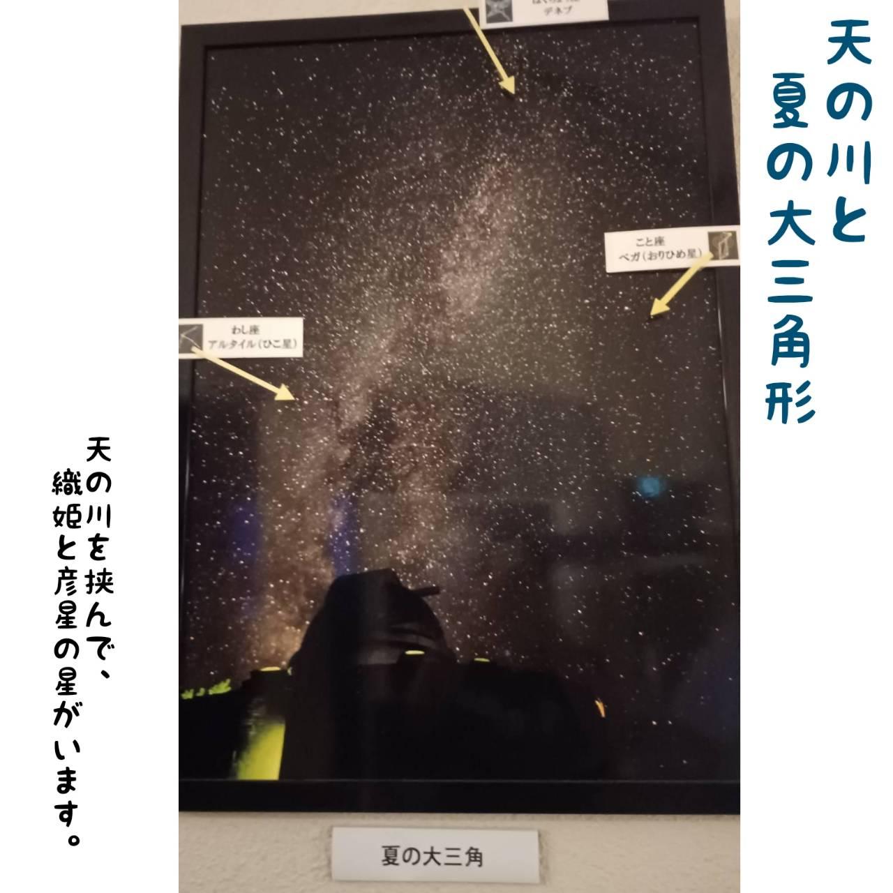 �V����Ő����肢�̂��Ƃ��l����