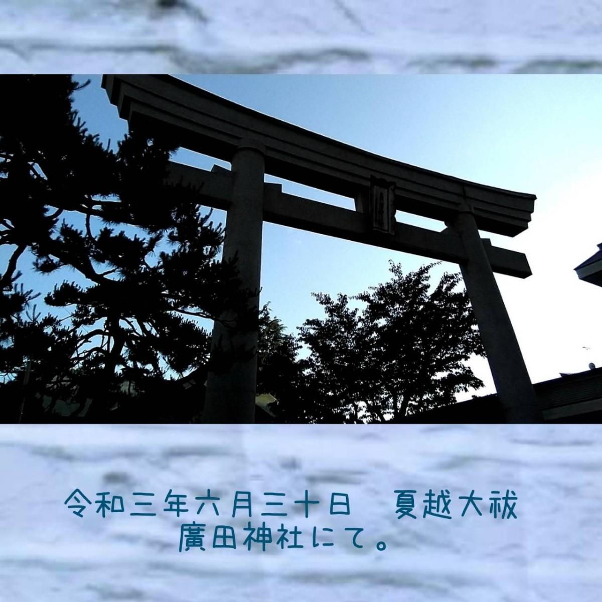 �ĉz���P �s���Ă��܂��� 1