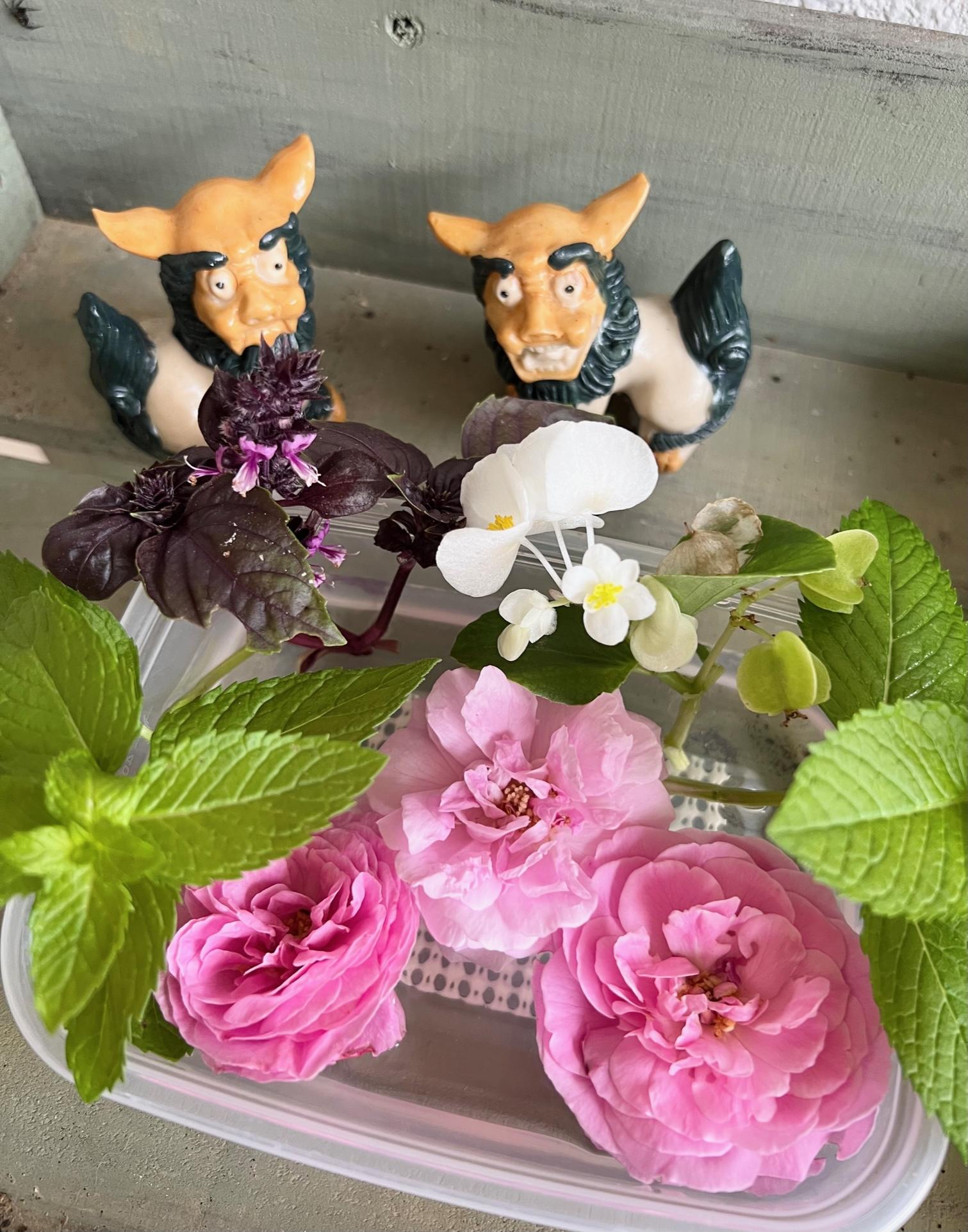 GW���Ƃ̏o����