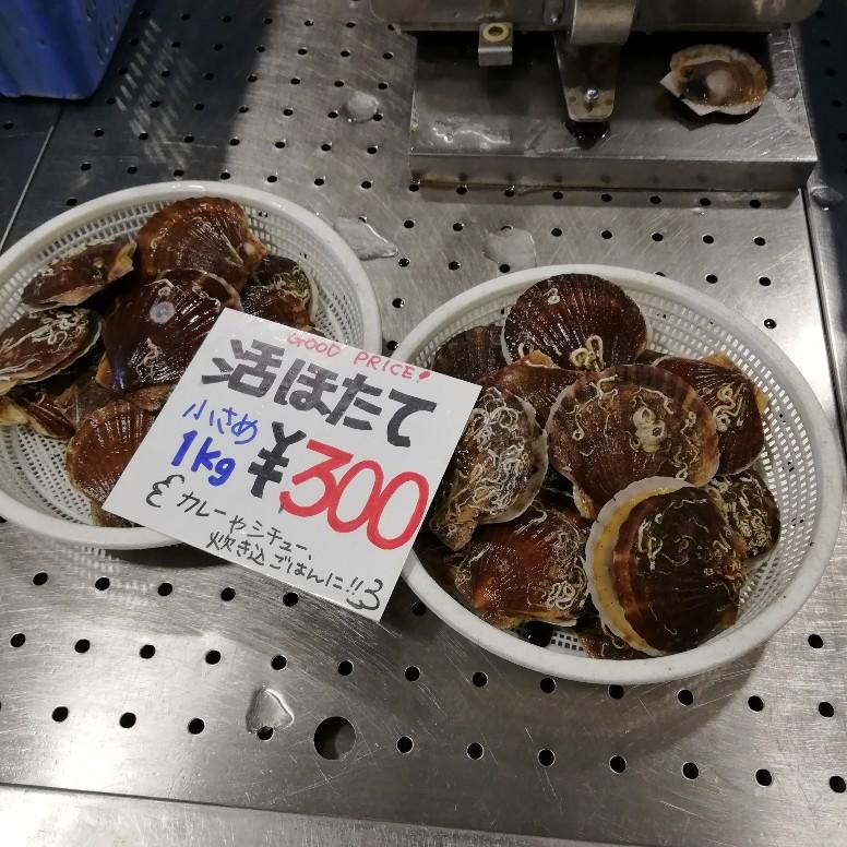 �ЂƂ�Ԃ�藷�@���̂S�@�z�^�e����������