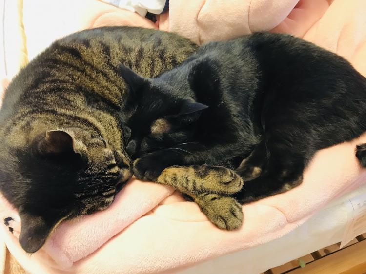 �~�̑������߂Â��Ă��Ă��܂�