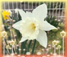 �ނɂ͑��ɕt�������Ă�l�����܂����H