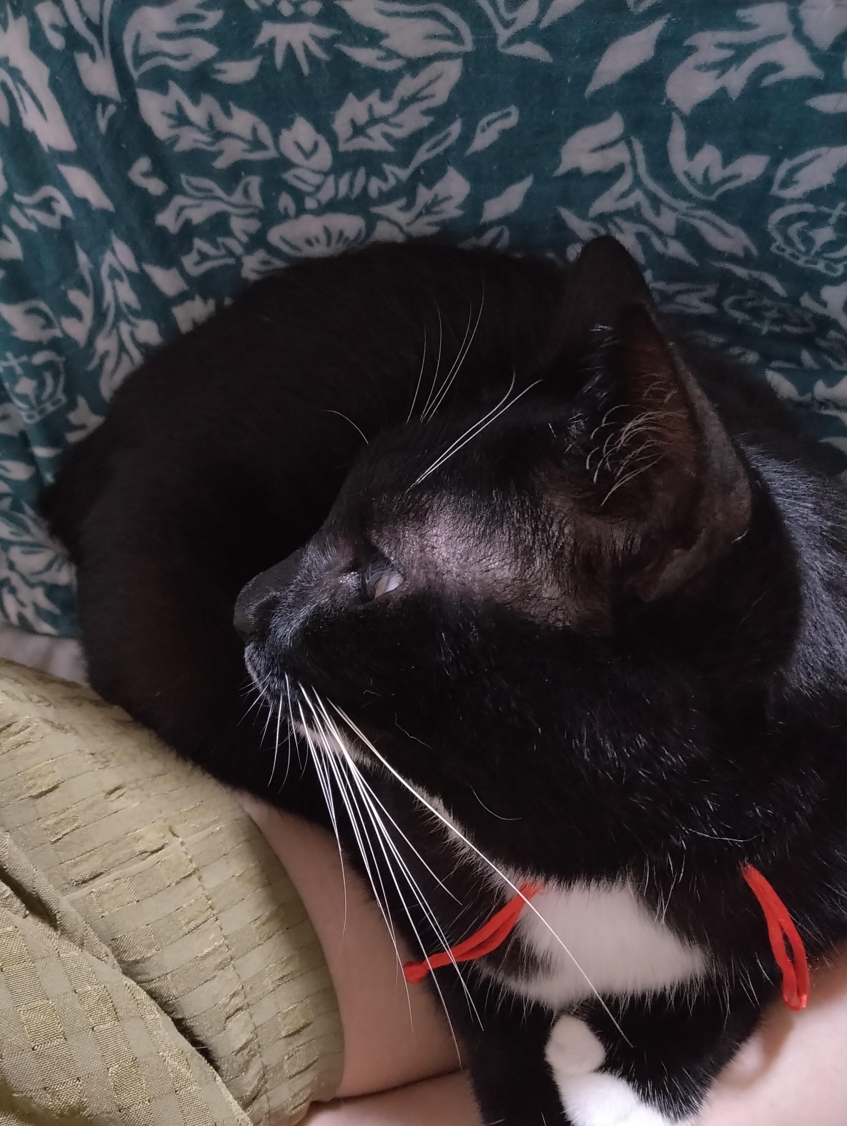 ���Ȃ��̗D�����Ǝ���ϊ���