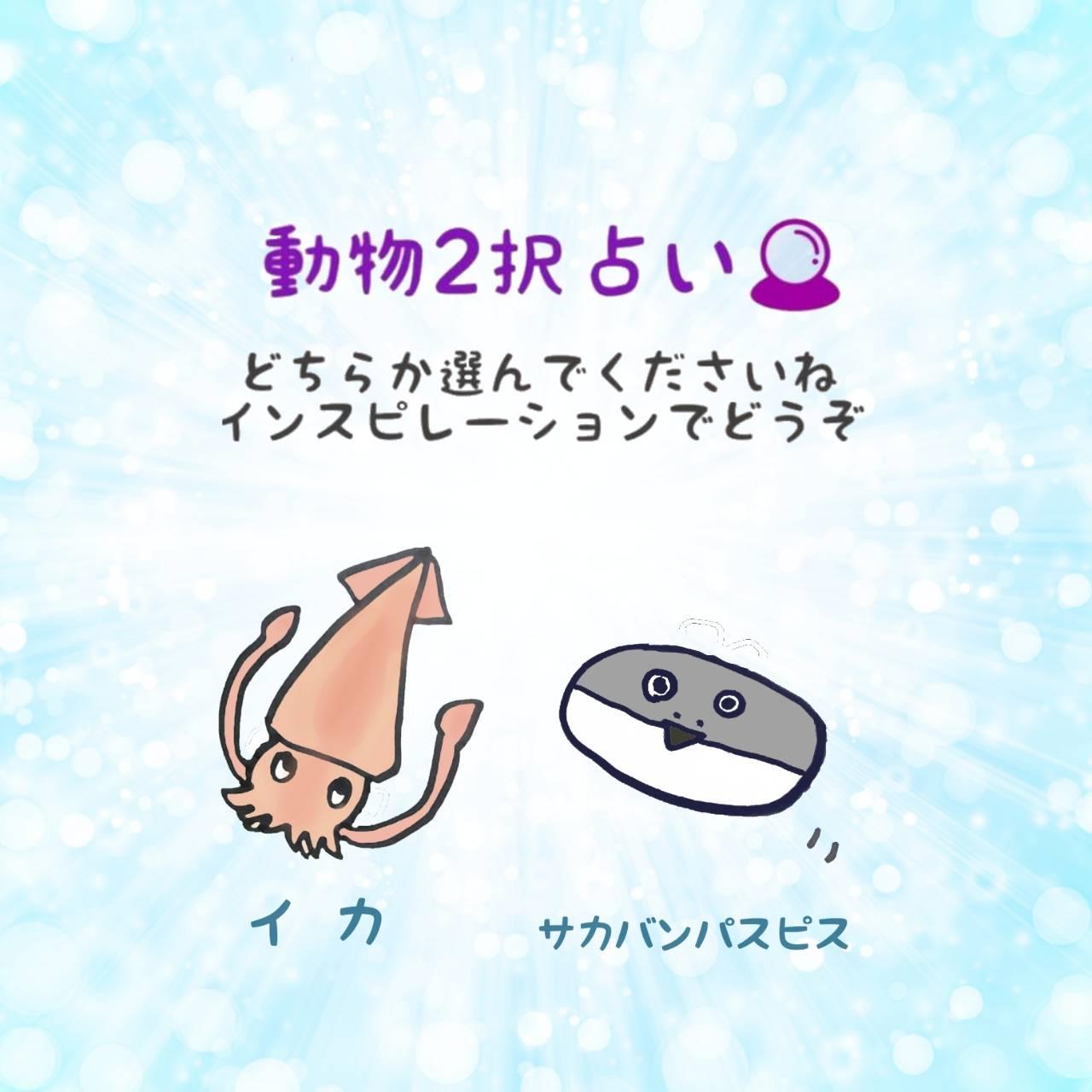 ����2��肢�I�A�h�o�C�X���ǂ�����