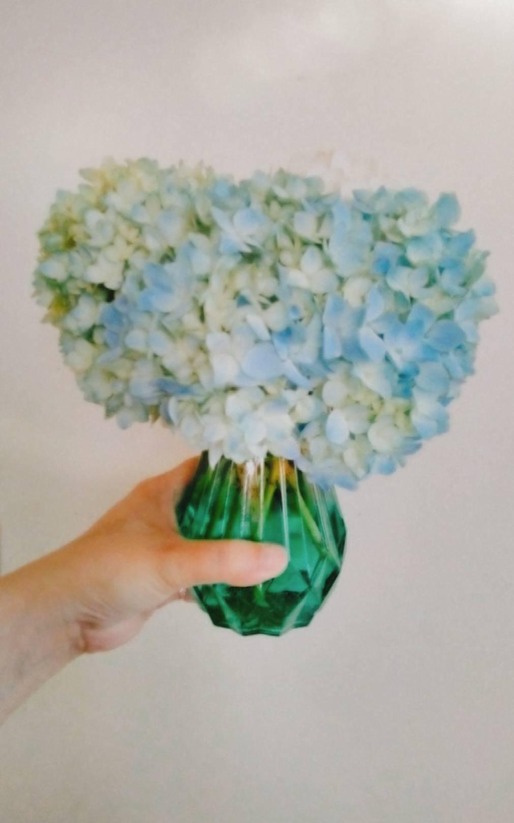 �y�摜�A���z�Ӓ蒆�ɕK�����΂ɒu������