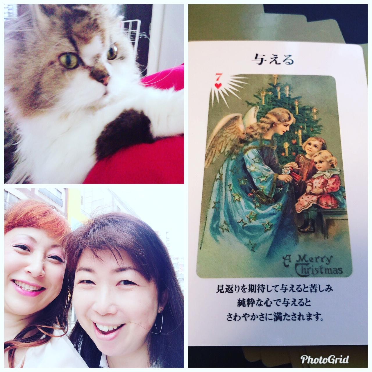 �_�l����̃��b�Z�[�W