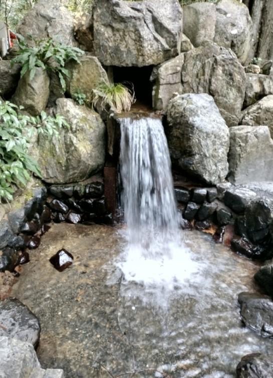 ������ƃV�[�T�[