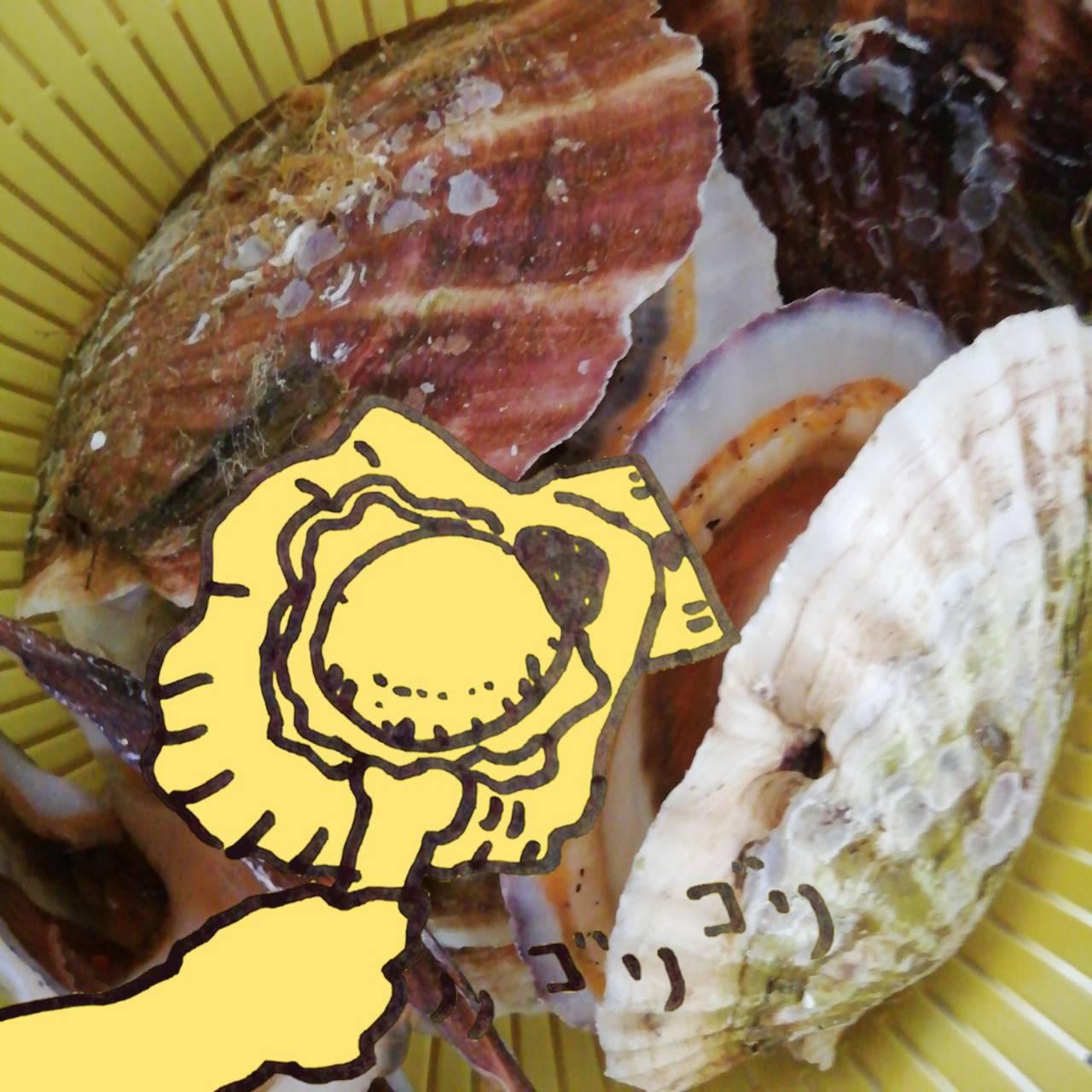 ���邢�C���[�W��������ς���I