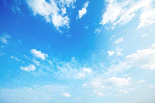 w̓LNo.14
