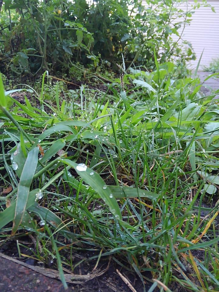 �ӊO�Ǝ����͂킩��Ȃ�