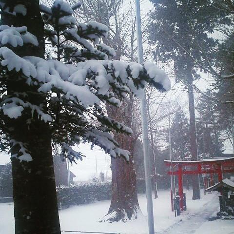 �����͂��x�݂����������Ă���܂��B