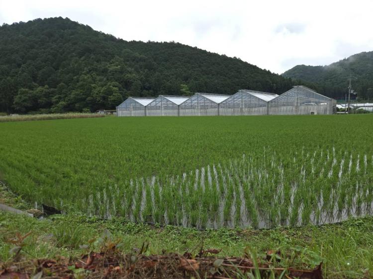 �U��19���@�����^