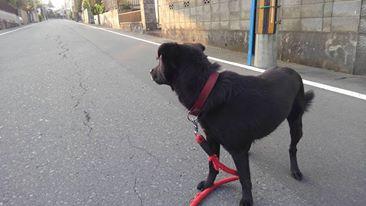 ���[���A�̃Z���X