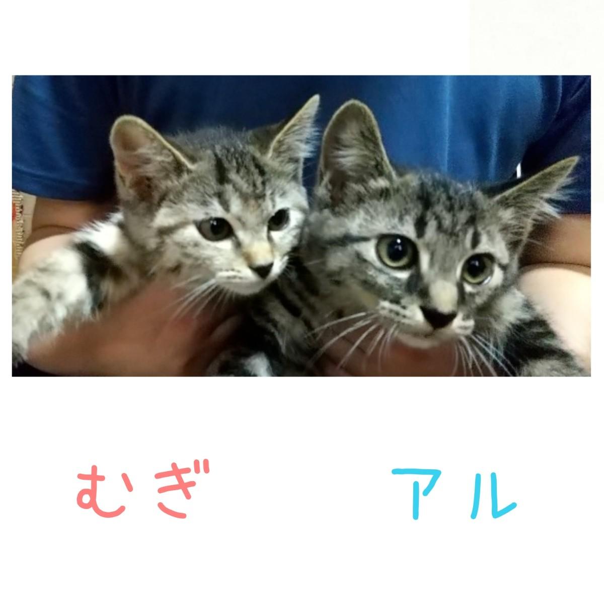 �L�肢�y8���㔼�z 