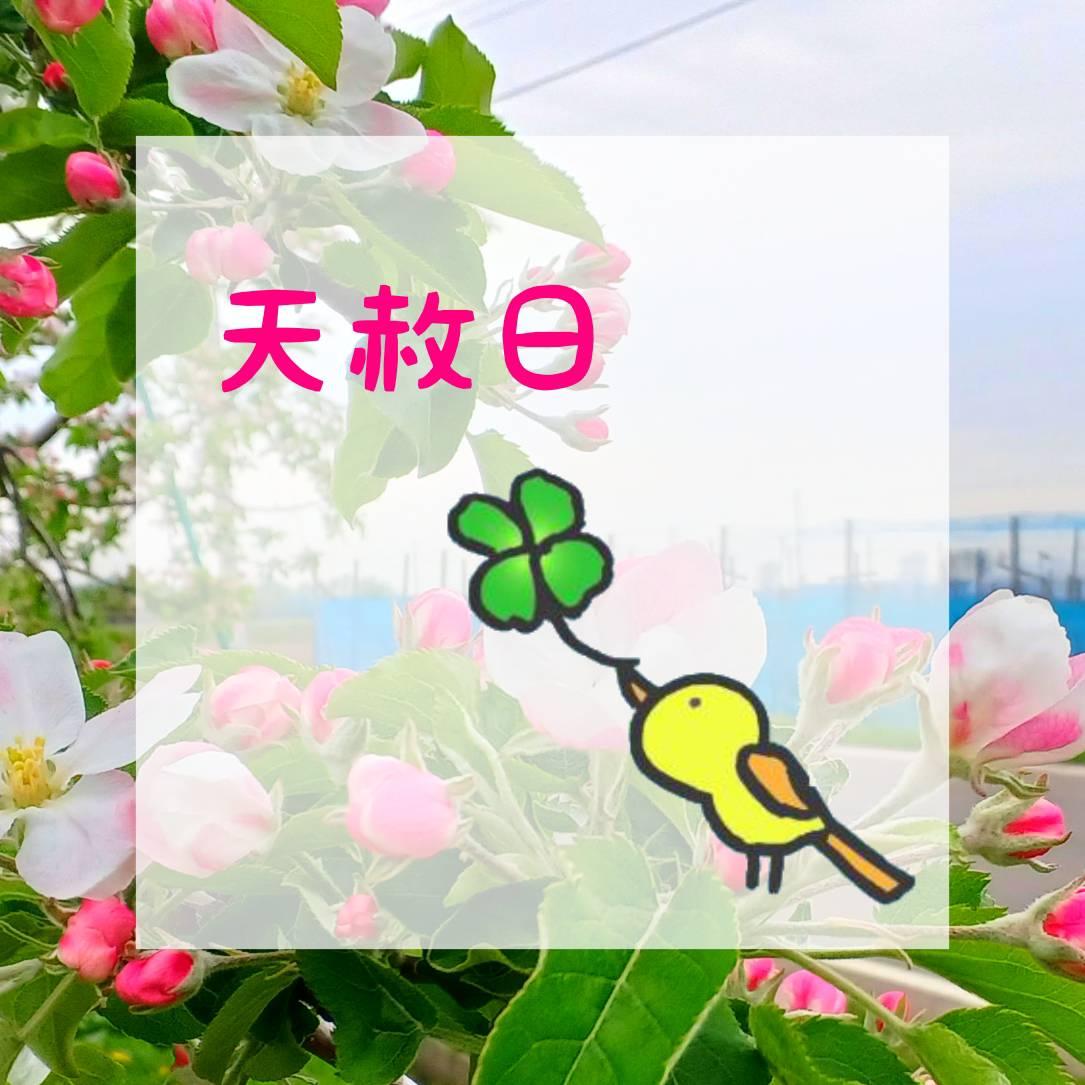 �{��5/25�́u�V�͓��i�Ă񂵂�ɂ��j�v
